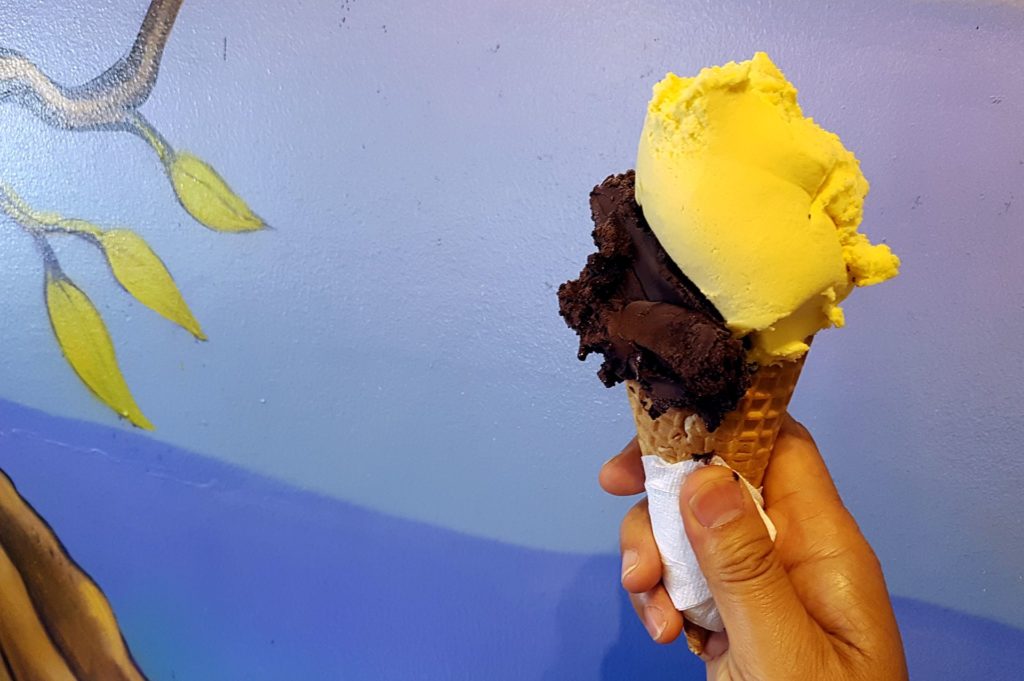 Chocolate sorbetto with mango sorbetto from Gelocchio